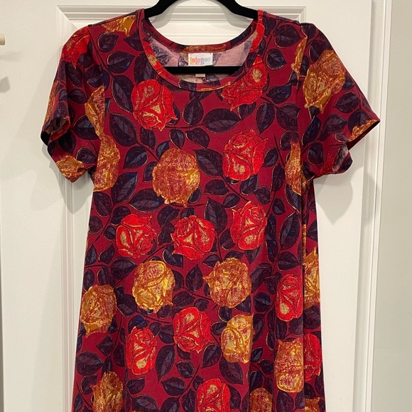 Lularoe carly dress - Picture 1 of 5